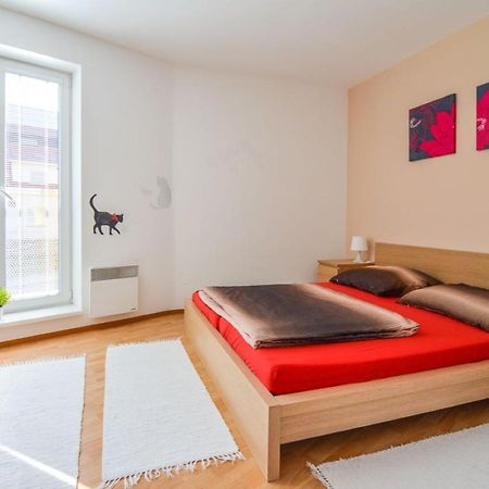Apartman U Kostela Destne v Orlickych horach Esterno foto