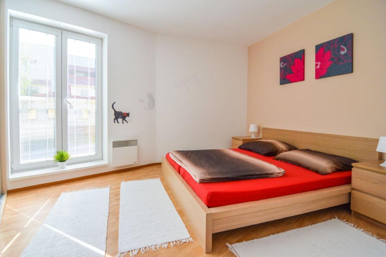 Apartman U Kostela Destne v Orlickych horach Esterno foto